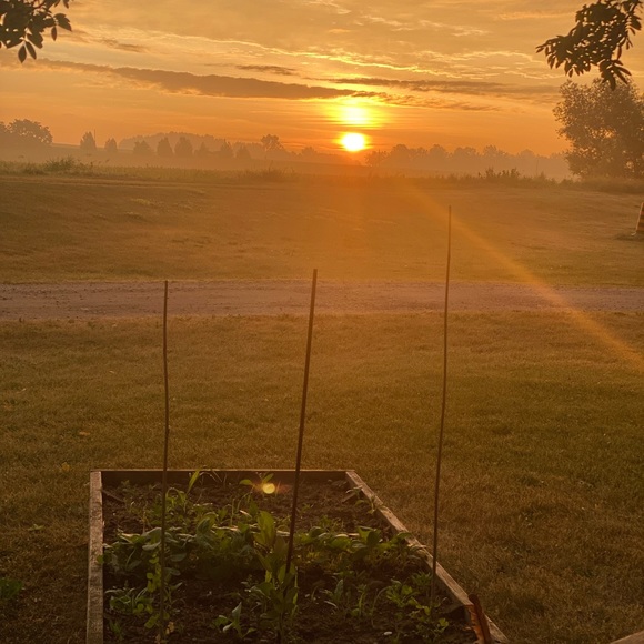 For What It’s Worth~Iam Yaya👵The80sHippie✌️ Living MyVerdade🙏 - Picture 16 of 16